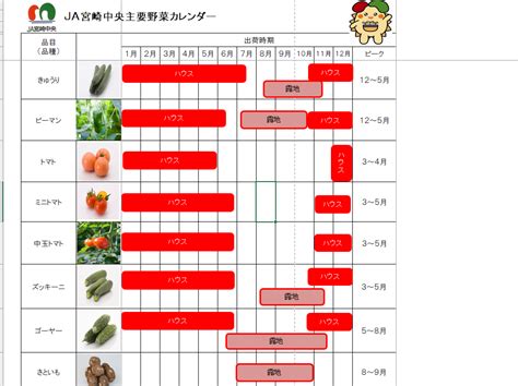 一年四季種菜|全年菜園管理－全年菜園作業及播種時間 